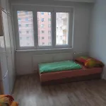 Apartamento 1+1 V Karlovych Varech *