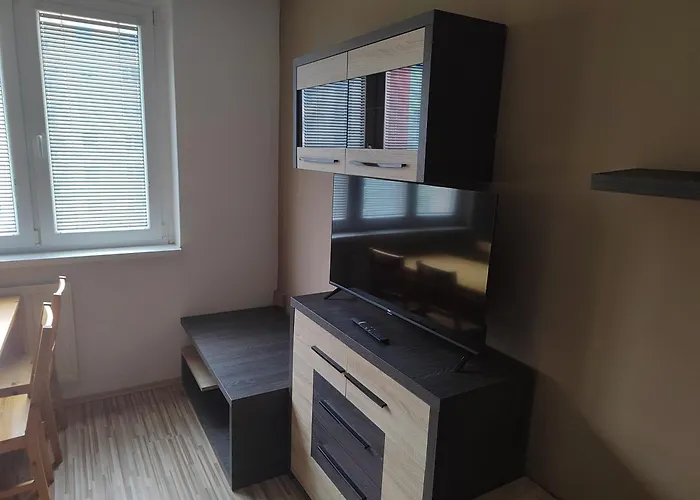 1+1 V Karlovych Varech Apartment *