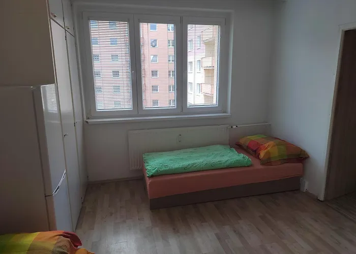Apartment 1+1 V Karlovych Varech *